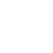 Logo scarlet 1